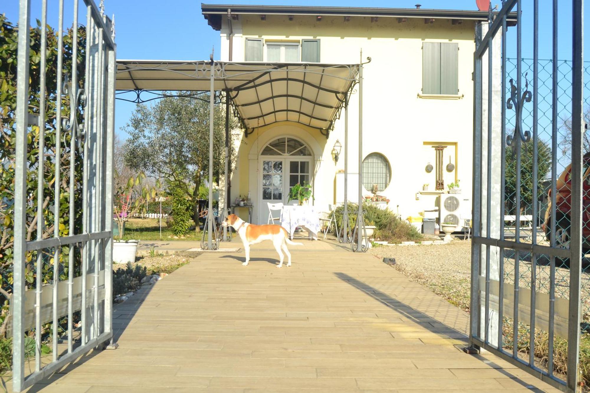 Lotus Country House Crespellano Kültér fotó