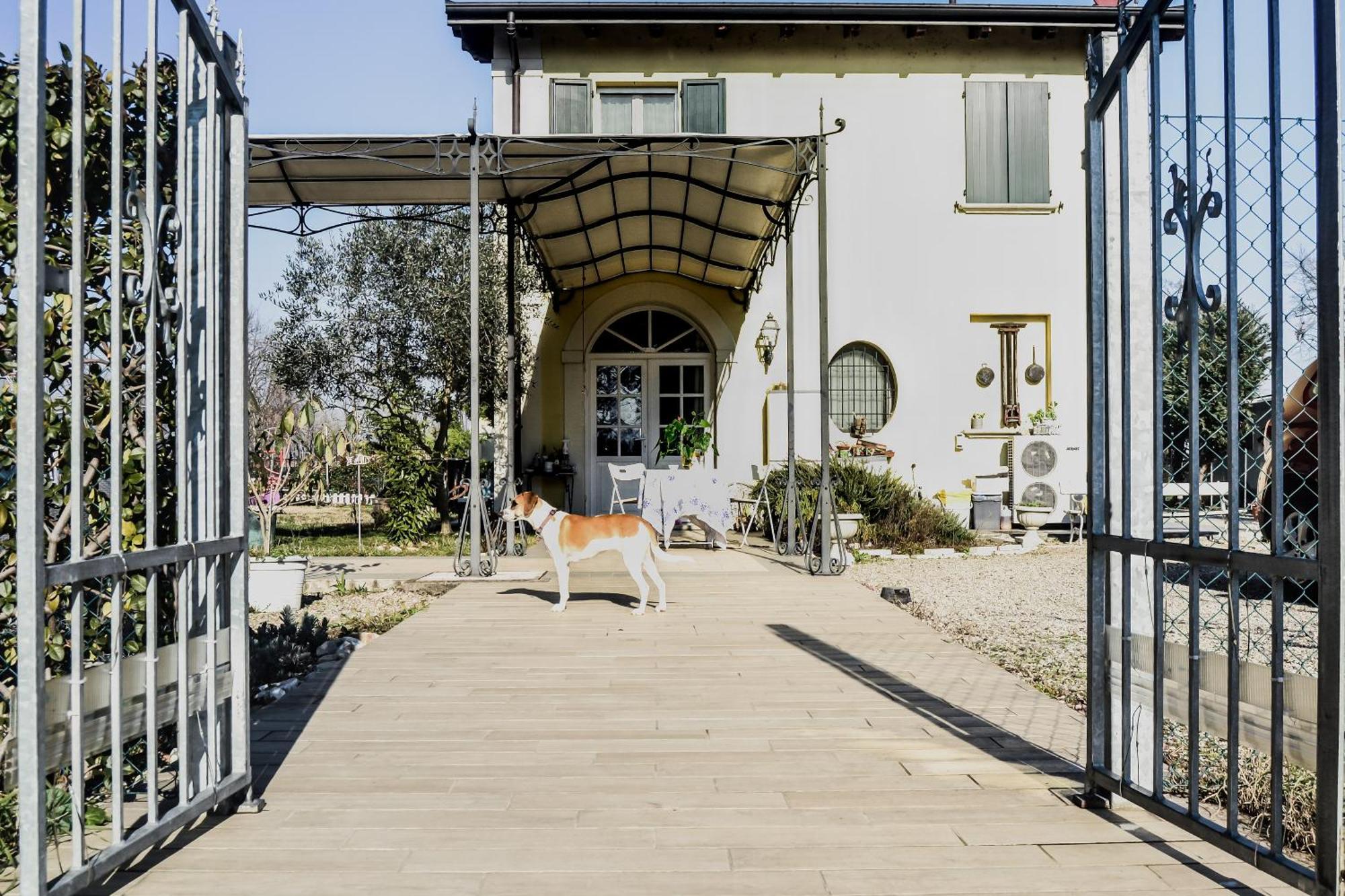 Lotus Country House Crespellano Kültér fotó